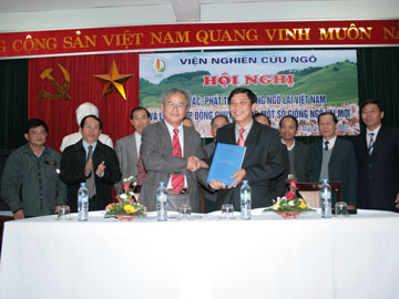 Hợp tác phát triển các giống Ngô lai Việt Nam!
