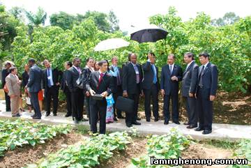 Tổng thống Cộng hòa Seychelles thăm Viện Khoa học Nông nghiệp Việt Nam.